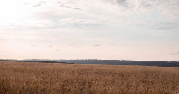 Rusya 'nın güneyinde sonbahar renkleri