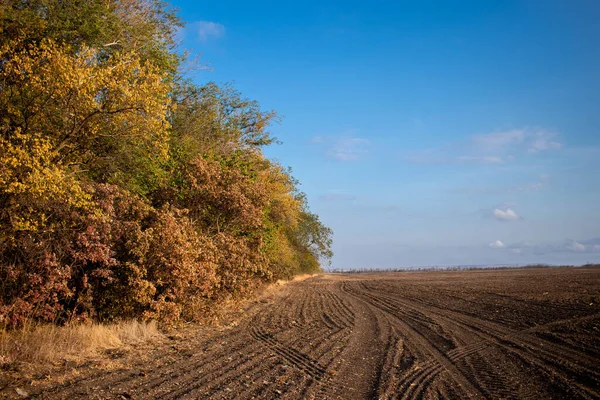 Rusya 'nın güneyinde sonbahar renkleri
