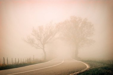 Sisin içinde kaybolan bir yol.