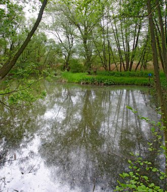  Alüvyon ormanında göletli yaşam alanı ve Avusturya 'nın Bath Tatzmannsdorf kentindeki toprak setinde bir bank.