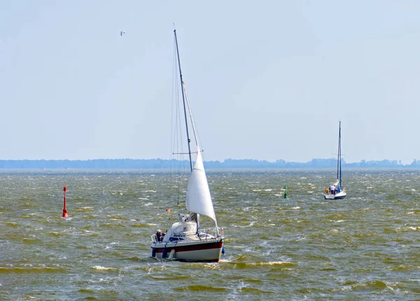 Żaglówki Przy Silnym Wietrze Zalewie Zingster Bodden Meklemburgii Pomorzu Niemcy — Zdjęcie stockowe