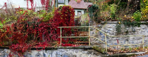 Vieja Pared Del Jardín Entrada Parcialmente Cubierto Por Enredaderas Color —  Fotos de Stock