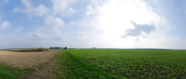 Vista Panorámica Campos Parcialmente Cosechados Hasta Horizonte Austria — Foto de Stock