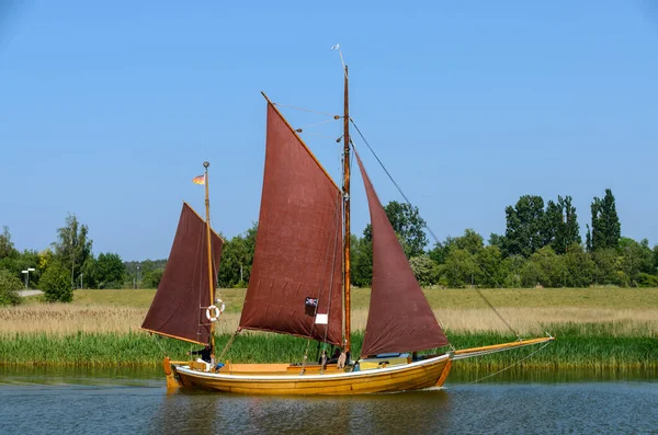 Zingster Bodden 的堤岸上航行的带有褐色帆的游艇 — 图库照片
