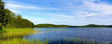 panoramic view across the lake Gissen with flat riparian zone vegetated by reed, Sweden clipart
