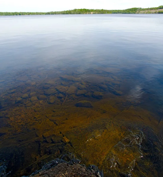 Lihat Bawah Dan Atas Permukaan Air Reflektif Danau Gissen Swedia — Stok Foto