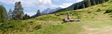 Avusturya, Carinthia 'da tahta kuyusuyla Alp Steineckenalm' ın panoramik manzarası