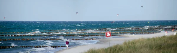 Песчаный Берег Балтийского Моря Деревянными Пайнами Кайтсерфингистами Заднем Плане Рядом — стоковое фото