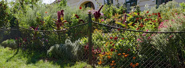 Jardín Delantero Con Cerca Alambre Hierro Tradicional Plantas Con Flores — Foto de Stock