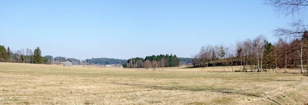 Панорамний Вид Плоского Пейзажу Кінці Зими Снігу Регіоні Forestquarter Waldviertel — стокове фото