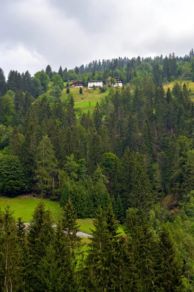 Гірські Ферми Лісовій Галявині Схилі Пагорба Каринтії Австрія — стокове фото