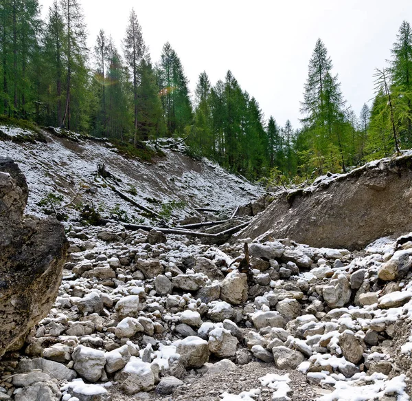 Cama Seca Uma Torrente Montanha Vale Laserz Tirol Oriental Áustria — Fotografia de Stock