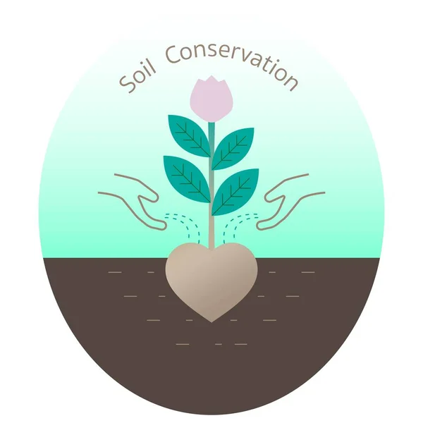 用手加肥料种树 土壤保持护理概念 矢量图解轮廓平面设计风格 — 图库矢量图片