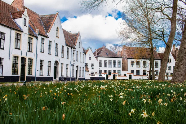 Köydeki güzel bir parkın ortasında büyük beyaz bir ev. Bruges, Belçika