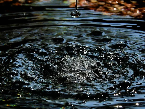 Kapsuła Wody Fontannie — Zdjęcie stockowe