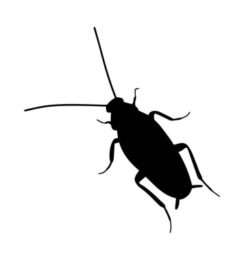 Basit düz hamamböceği ikonu. Siyah siluet çıkartması.