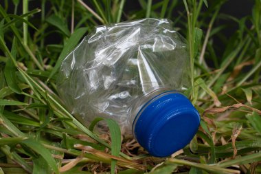 Çimlerde ezilmiş plastik su şişesi. Çevre kirliliği kavramı.