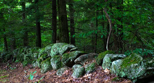 Stará Kamenná Zeď Stezce Lese — Stock fotografie