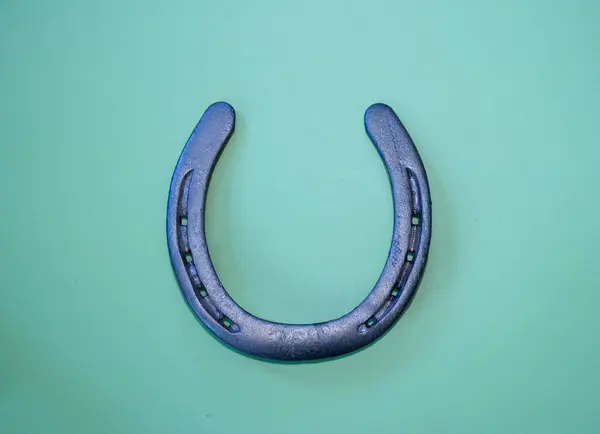 deniz mavisi arkaplanındaki brue horshoe