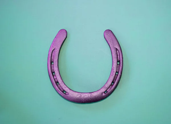 mavi arka planda mor bir at nalı