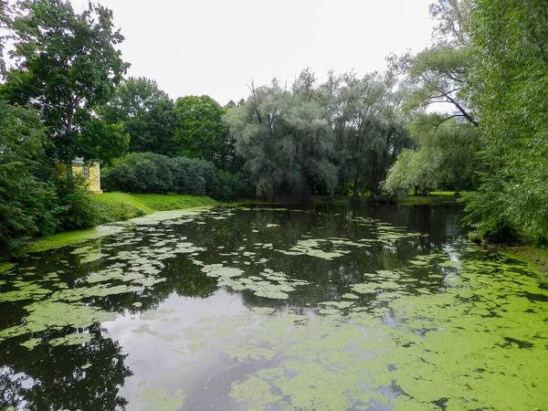 Pond Pushkin Garden — Stock Photo, Image