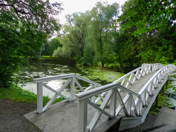 Bridge Pond Pushkin Garden — Stock Photo, Image