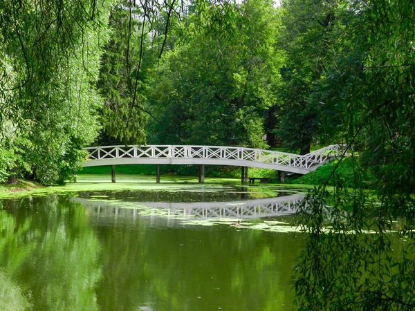 Bridge Pond — Stock Photo, Image