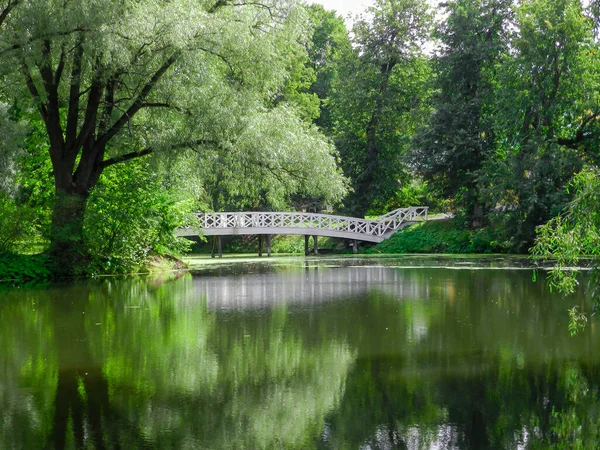 Bridge Pond — Stock Photo, Image