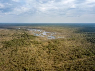 drone görüntü. Hava bulutlu bahar günü gölde bataklık görünümü. Letonya