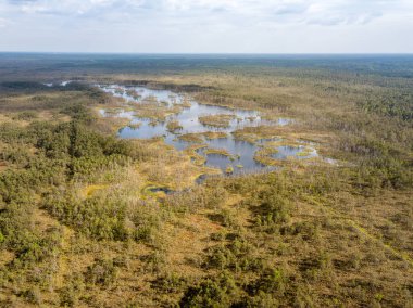 drone görüntü. Hava bulutlu bahar günü gölde bataklık görünümü. Letonya