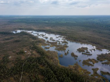 drone görüntü. Hava bulutlu bahar günü gölde bataklık görünümü. Letonya