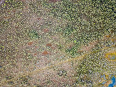 drone görüntü. Bataklık alan ayak yürüyüş parkurları ile hava görünümünü. Letonya