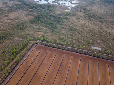 drone görüntü. Bataklık, Letonya ekili çim alanlarının havadan görünümü
