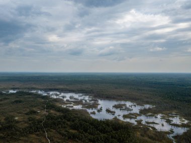 drone görüntü. Hava bulutlu bahar günü gölde bataklık görünümü. Letonya