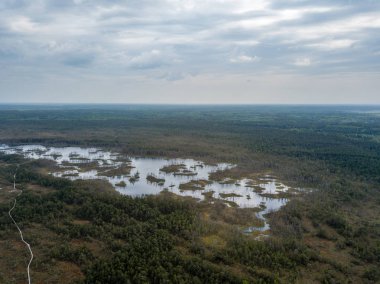 drone görüntü. Bataklık alan ayak yürüyüş parkurları ile hava görünümünü. Letonya