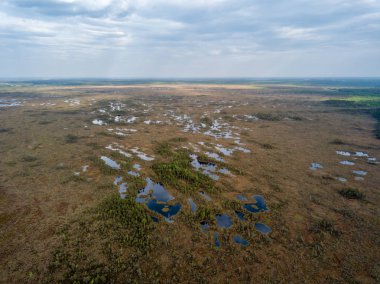 drone görüntü. Hava bulutlu bahar günü gölde bataklık görünümü. Letonya