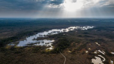 drone görüntü. Hava bulutlu bahar günü gölde bataklık görünümü. Letonya