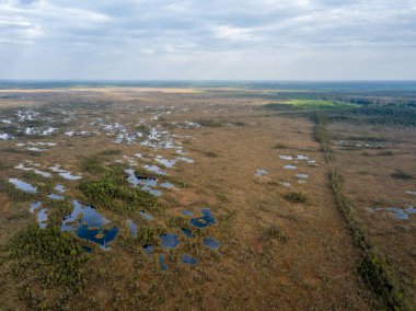 drone görüntü. Hava bulutlu bahar günü gölde bataklık görünümü. Letonya