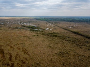 drone görüntü. Bataklık alan ayak yürüyüş parkurları ile hava görünümünü. Letonya