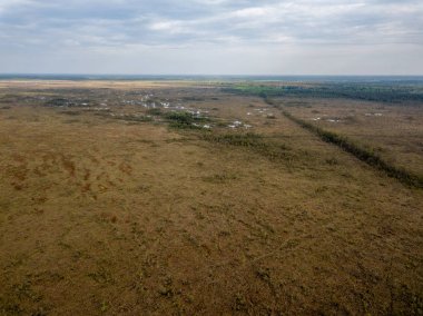 drone görüntü. Bataklık alan ayak yürüyüş parkurları ile hava görünümünü. Letonya