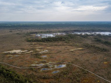 drone görüntü. Hava bulutlu bahar günü gölde bataklık görünümü. Letonya