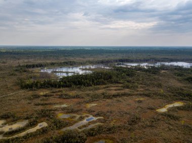 drone görüntü. Hava bulutlu bahar günü gölde bataklık görünümü. Letonya