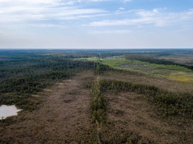 drone görüntü. Hava bulutlu bahar günü gölde bataklık görünümü. Letonya