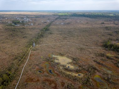 drone görüntü. Bataklık alan ayak yürüyüş parkurları ile hava görünümünü. Letonya
