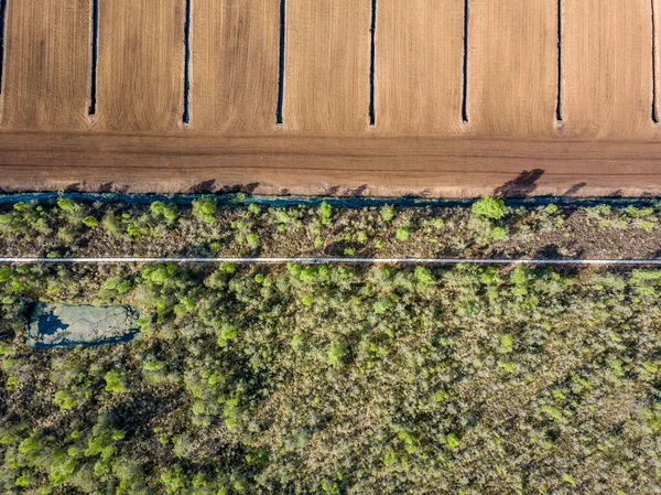 Drone Зображення Пташиного Польоту Культивується Дерен Полях Болоті Латвія — стокове фото