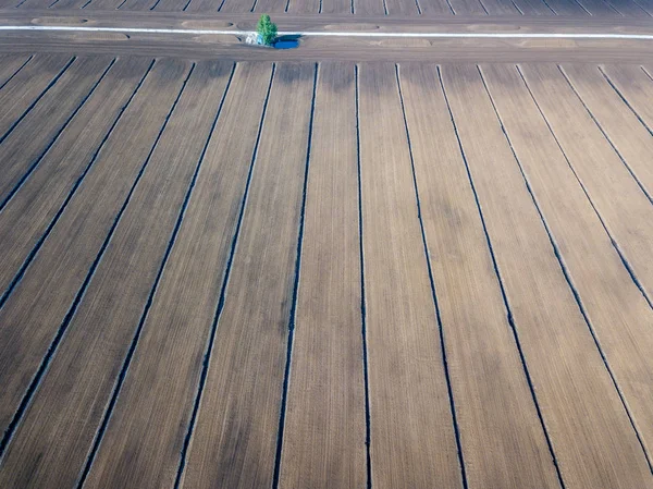 ドローンのイメージ ラトビアの栽培芝フィールドの空撮 — ストック写真