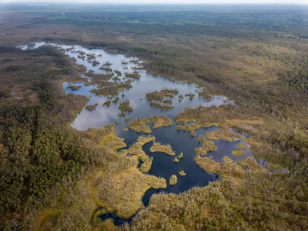 Imagen Del Dron Vista Aérea Del Lago Del Pantano Día —  Fotos de Stock