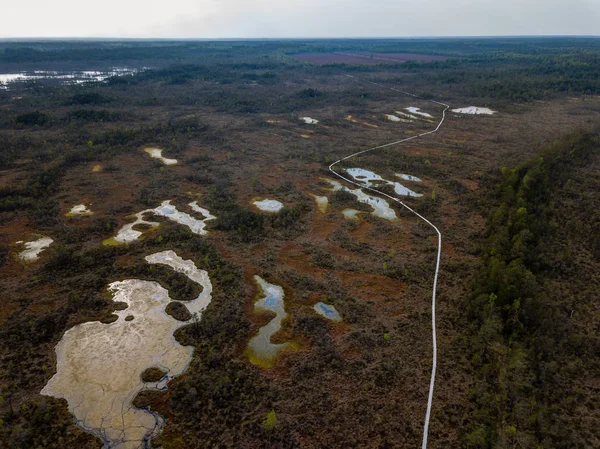 drone image. aerial view of swamp lake in cloudy spring day. latvia