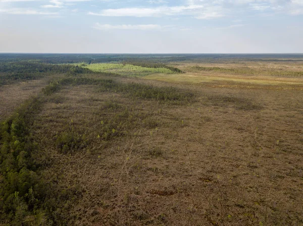 Imagen Del Dron Vista Aérea Zona Del Pantano Con Senderos —  Fotos de Stock