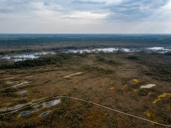 Imagen Del Dron Vista Aérea Del Lago Del Pantano Día — Foto de Stock